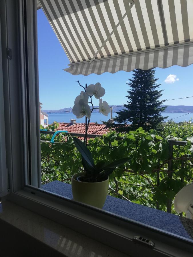 Bokula * Novi Vinodolski
